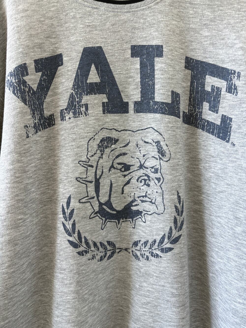 Yale University Bulldog Sweatshirt Mens Size XL Gray Blue Oversized Streetwear